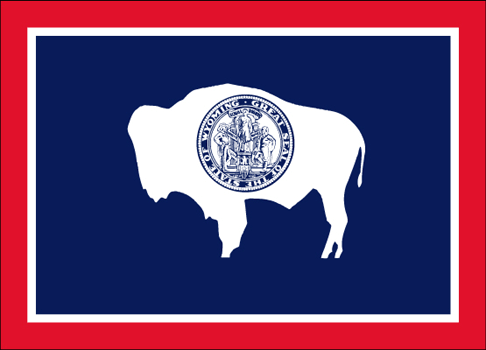 флаг штатов